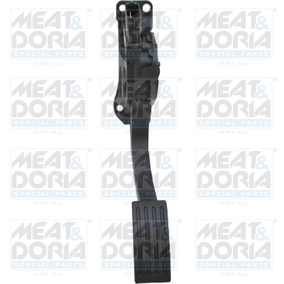Accelerator Pedal Unit